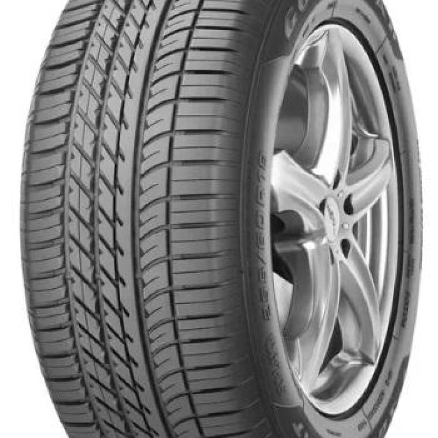 Eagle 1 Asymmetric SUV XL 255/55-20 W